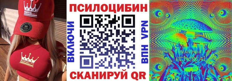 Псилоцибиновые грибы Psilocybine cubensis  Купить закладки  Мензелинск 